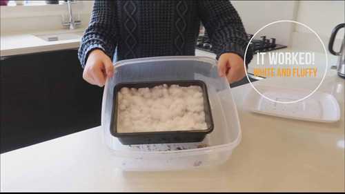 如何在咖啡渣上种植蘑菇