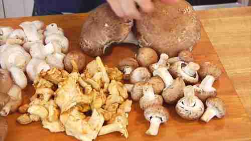 干净美味的蘑菇