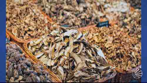 蘑菇对健康的好处