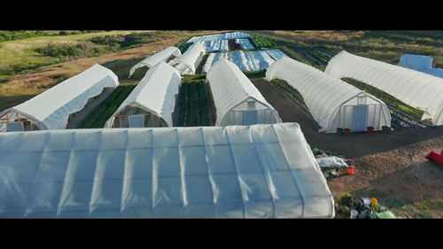 7000英尺高原的有机农场