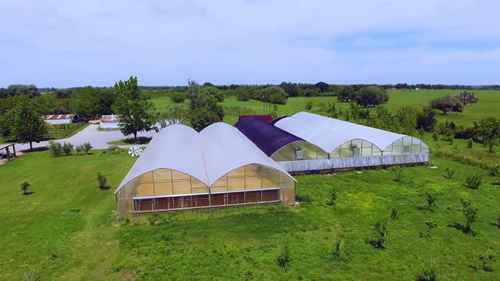 参观德克萨斯州Aquaponics水产农场