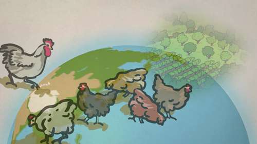 农业多样性和农业可持续发展