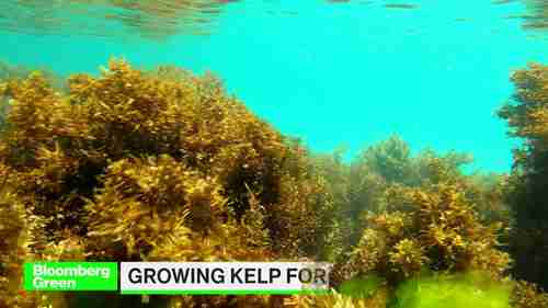 可持续农业如何发展