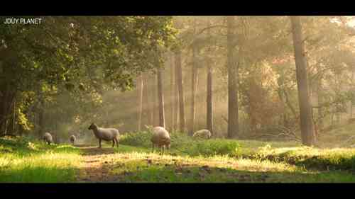 可持续农业的发展