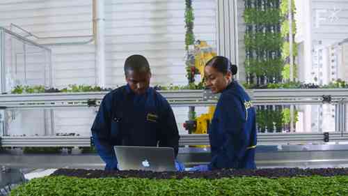 垂直农场将“占领”世界