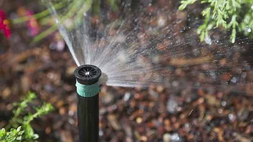 滴灌喷头-灌水器的放置