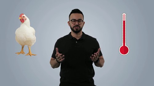 家鸡的腹泻和湿粪问题