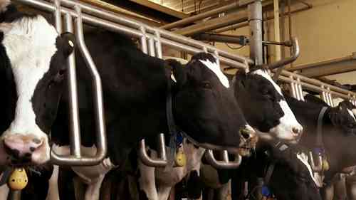 南达科他州动物疾病研究实验室