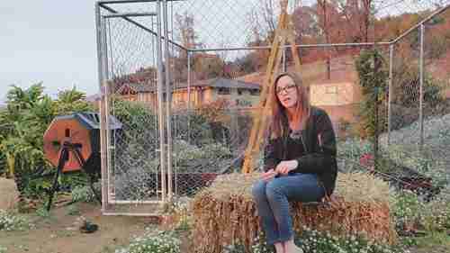 花园中常用的6种地膜