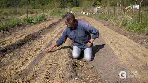 种植前应该使用地膜吗？