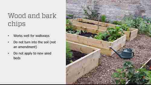 菜园的地膜使用