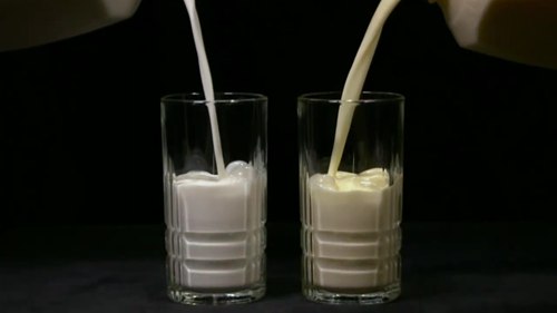 草饲牛奶的与众不同