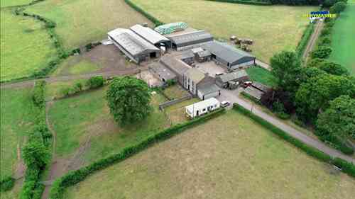 提高牛奶产量的经济方法