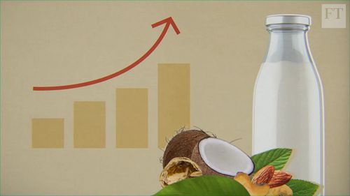 植物性牛奶更健康吗