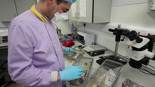 帝国理工学院的动物研究