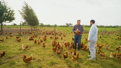 动物实验和动物福利