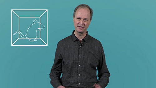 为什么要做动物实验