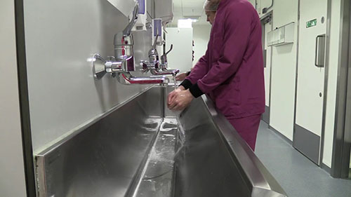 探访弗朗西斯·克里克动物研究所