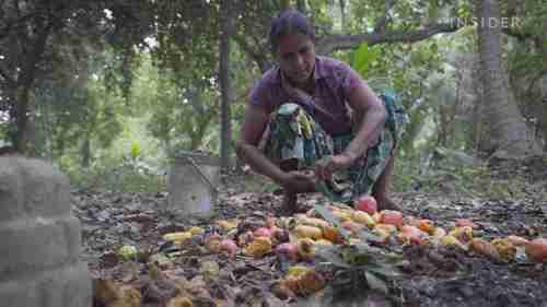 腰果高价的原因