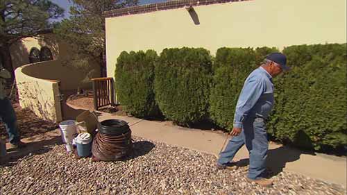 如何安装滴灌系统 2