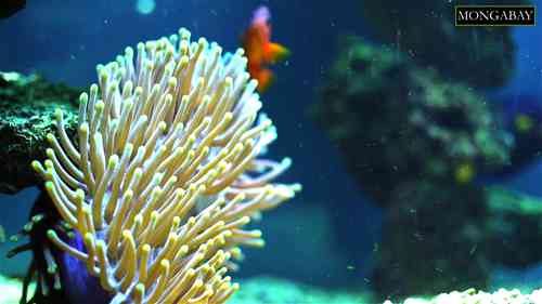 生态旅游对环境更好吗