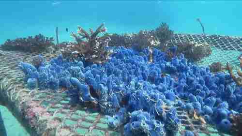 疫情下的东南亚生态旅游