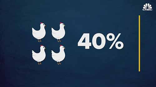 开市客超市为什么要开设养鸡场