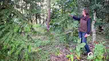 如何为农场和林业确定产品和市场