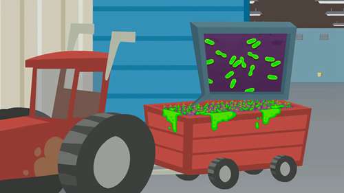 农产品包装和运输安全