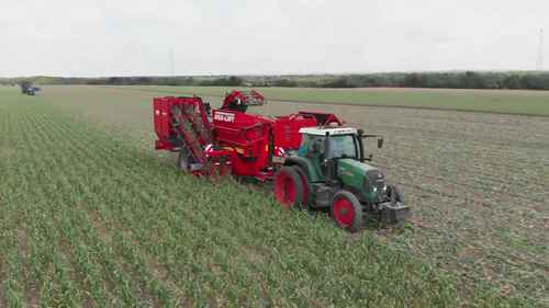 大蒜、甜菜和苦瓜的种植加工