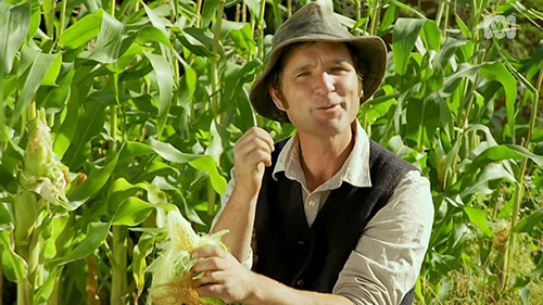 蔬果种植小贴士