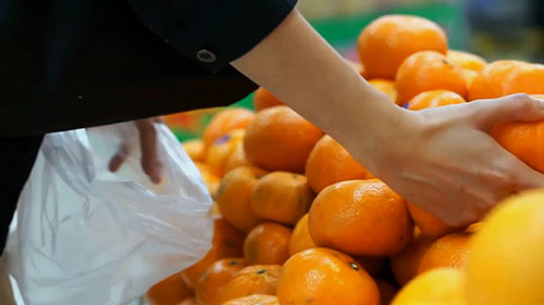 种植什么水果呢