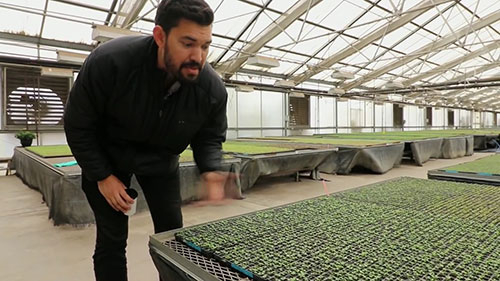 参观一座超大型苗圃