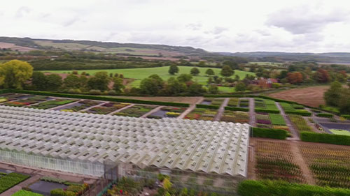 英格兰Palmstead Nurseries苗圃公司