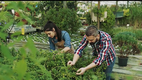 如何创建一座苗圃