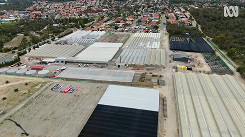 澳洲珀斯市的Benara苗圃