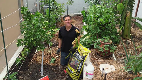 有机肥料的使用