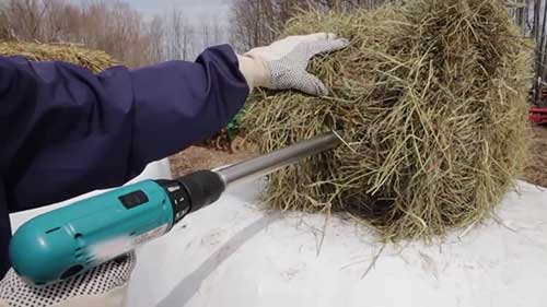 如何检测饲料的质量