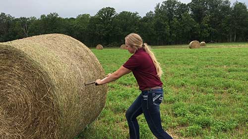 如何采集饲料样本