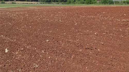 有机饲料的生产