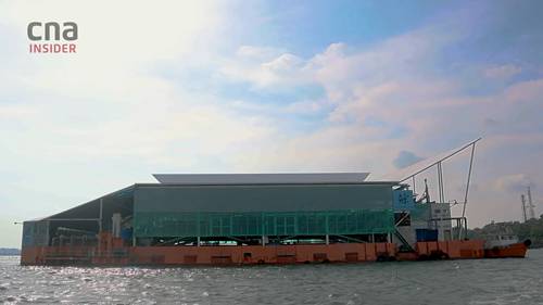 走近新加坡的高科技渔业