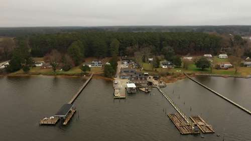 探访大型生蚝农场