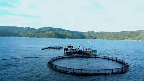 水产养殖的未来