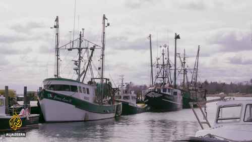 3D海洋养殖和水下农业