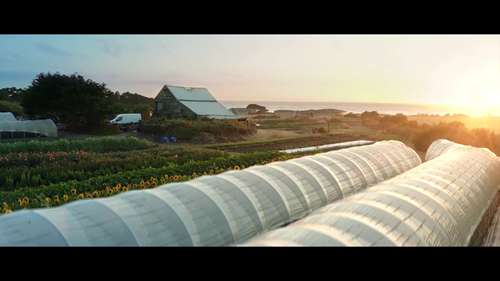 一座加州的海产农场