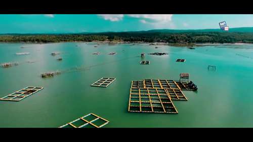 印尼的海洋水产养殖