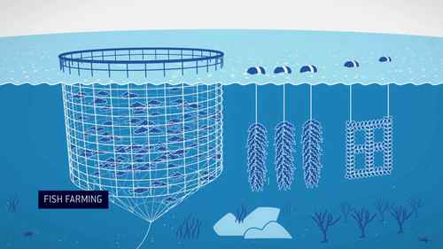 可持续水产养殖
