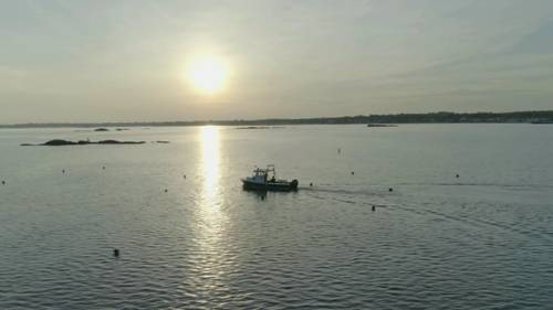 海洋农业能恢复海洋吗