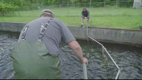 北卡罗莱纳的养鱼场