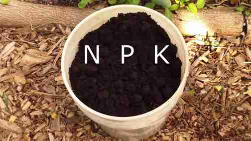 在花园中使用咖啡渣种植